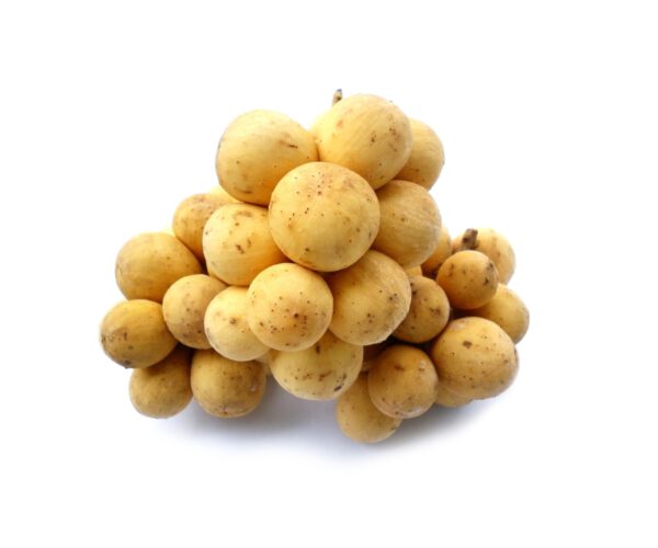 bòn bon thái lan
