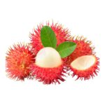 chom chom thai